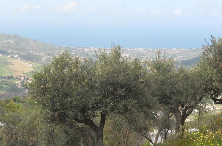 Hostal Casale Il Gheppio Laureana Cilento Exterior foto