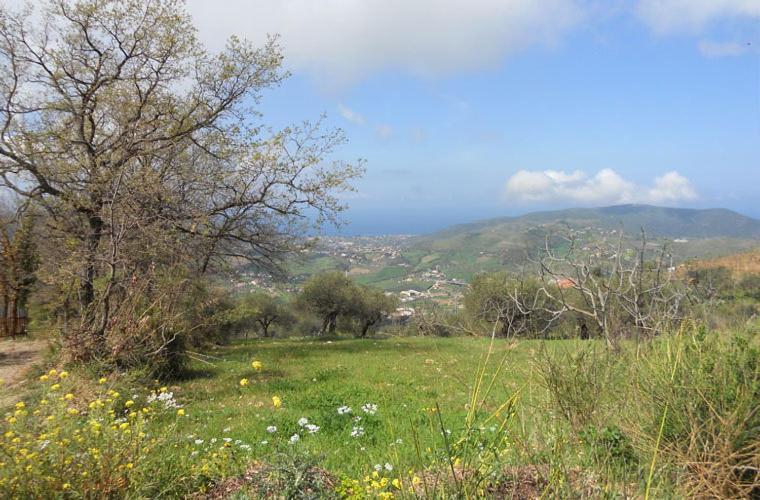 Hostal Casale Il Gheppio Laureana Cilento Exterior foto